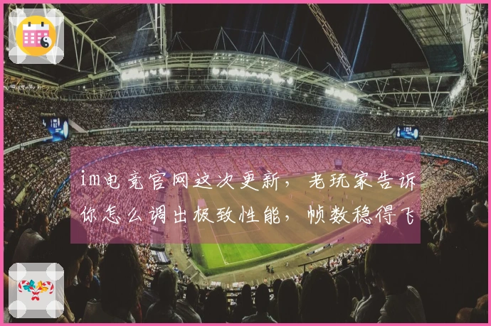 im电竞官网这次更新，老玩家告诉你怎么调出极致性能，帧数稳得飞起！