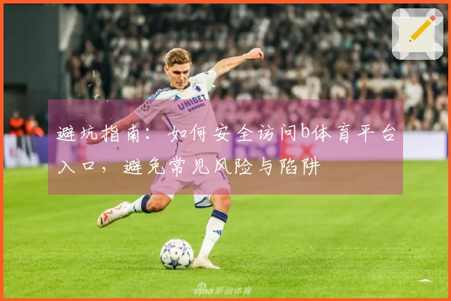 避坑指南：如何安全访问b体育平台入口，避免常见风险与陷阱