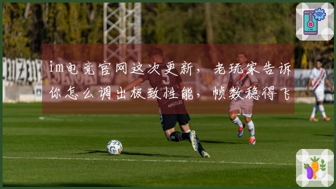 im电竞官网这次更新，老玩家告诉你怎么调出极致性能，帧数稳得飞起！