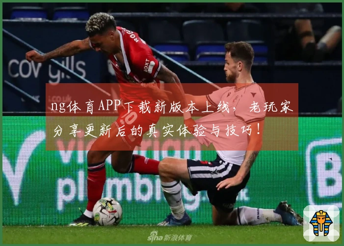 ng体育APP下载新版本上线，老玩家分享更新后的真实体验与技巧！