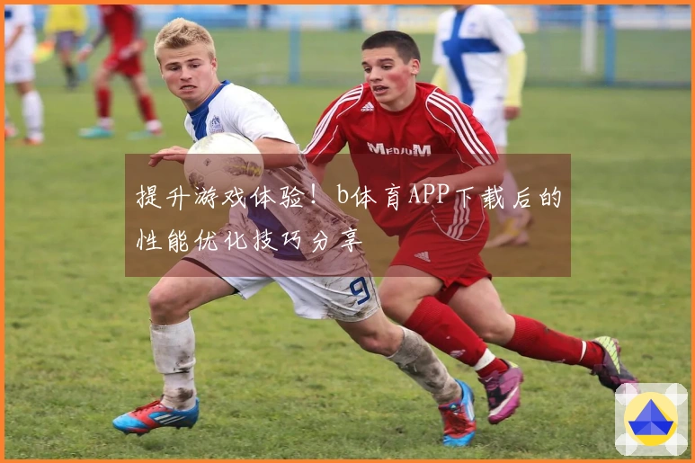 提升游戏体验！b体育APP下载后的性能优化技巧分享