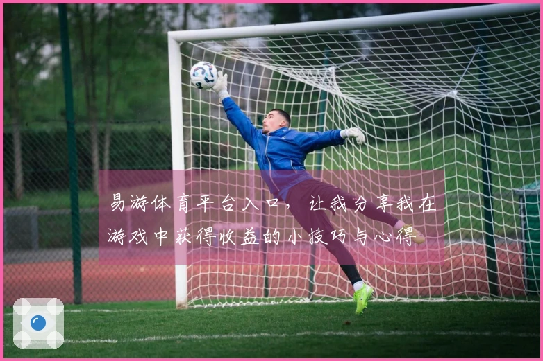 易游体育平台入口，让我分享我在游戏中获得收益的小技巧与心得