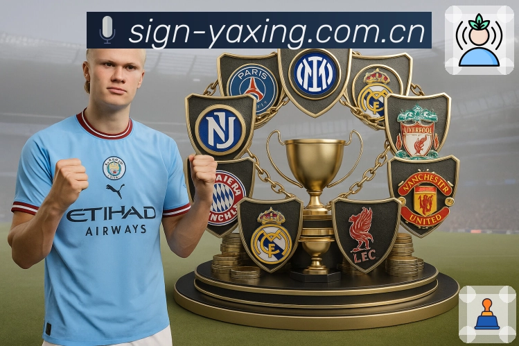 <strong>亚星官网</strong>App 统计页示例